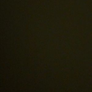 Meet your Posher, Priscilla